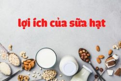 10 Lợi Ích Bất Ngờ Từ Sữa Hạt Bạn Nên Dùng Ngay Hôm Nay